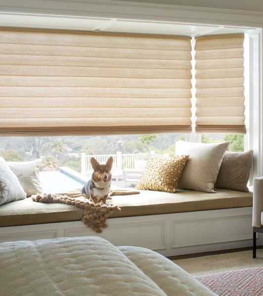 master bedroom with dog and hunter douglas vignette roman insulating shades Reno 89555