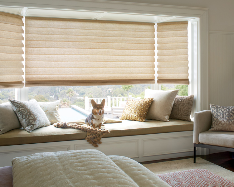 master bedroom with dog and hunter douglas vignette roman insulating shades Reno 89555