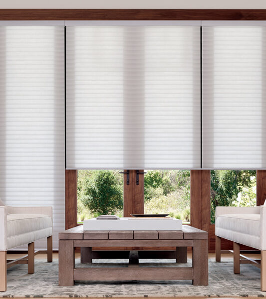 Hunter Douglas sonnette shades on glass doors in Reno 89504