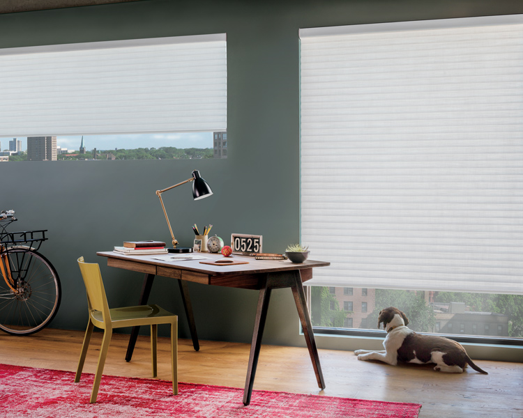 transitional home office with dog and sonnette insulating shades on a large window Reno 89433