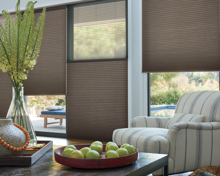 tall windows with dual shades honeycomb shades Reno NV