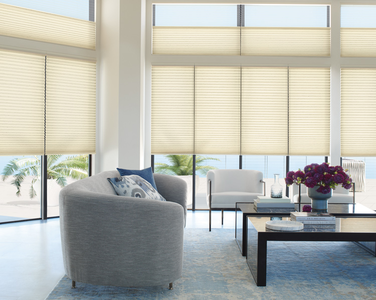 honeycomb shades with top down feature on hard to reach windows Reno NV