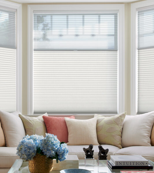living room large window and hunter douglas duette honeycomb shades for insulating blinds Reno 89520