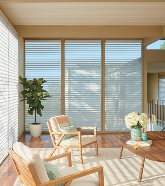 transitional living minimalistic living room with plants and large window silhouette shades by Hunter Douglas Reno
