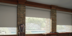 room darkening to blackout shades for your Reno NV home