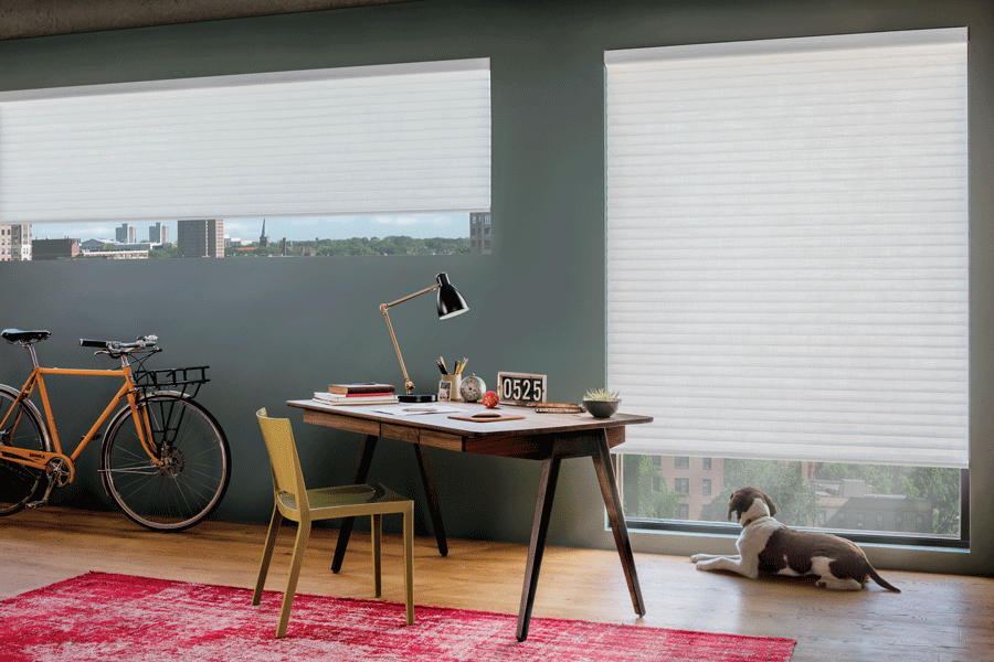 cellular roller shades for home office temperature control Reno NV