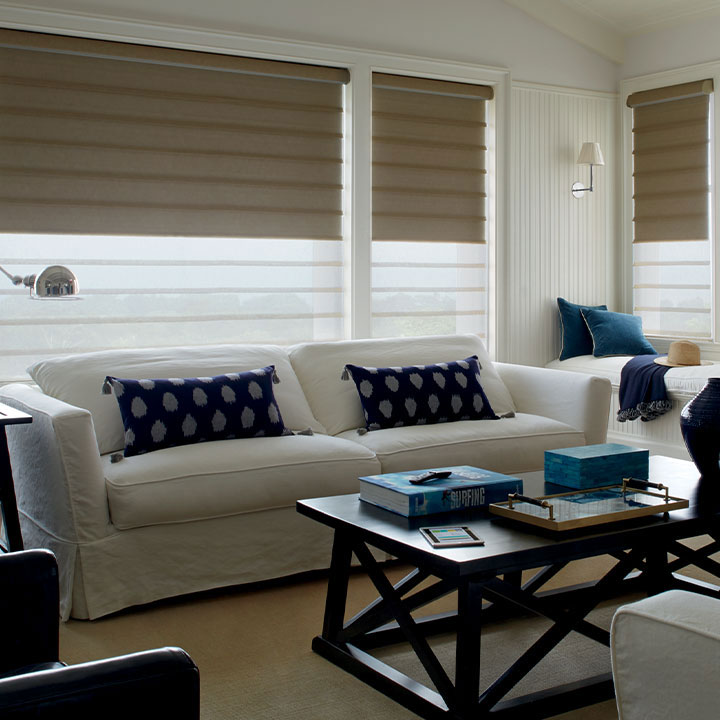 roman dual shades in Reno NV living room