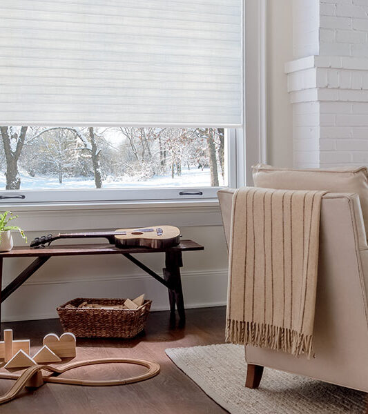 white cellular roller shades insulate windows in Incline Village NV