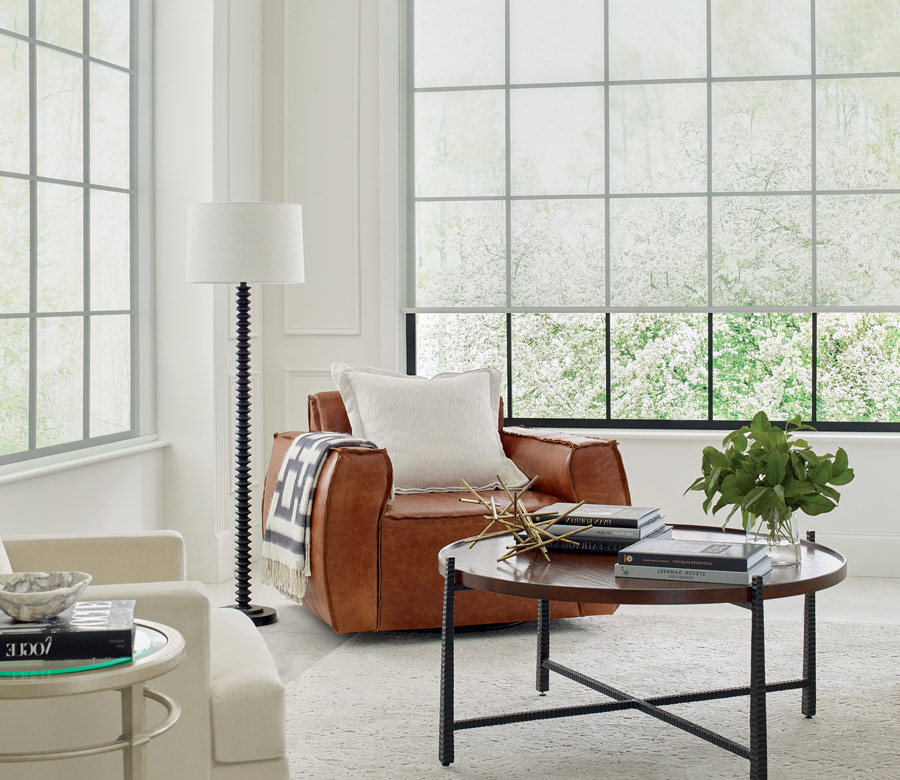 view through contemporary living room roller shade in Reno NV