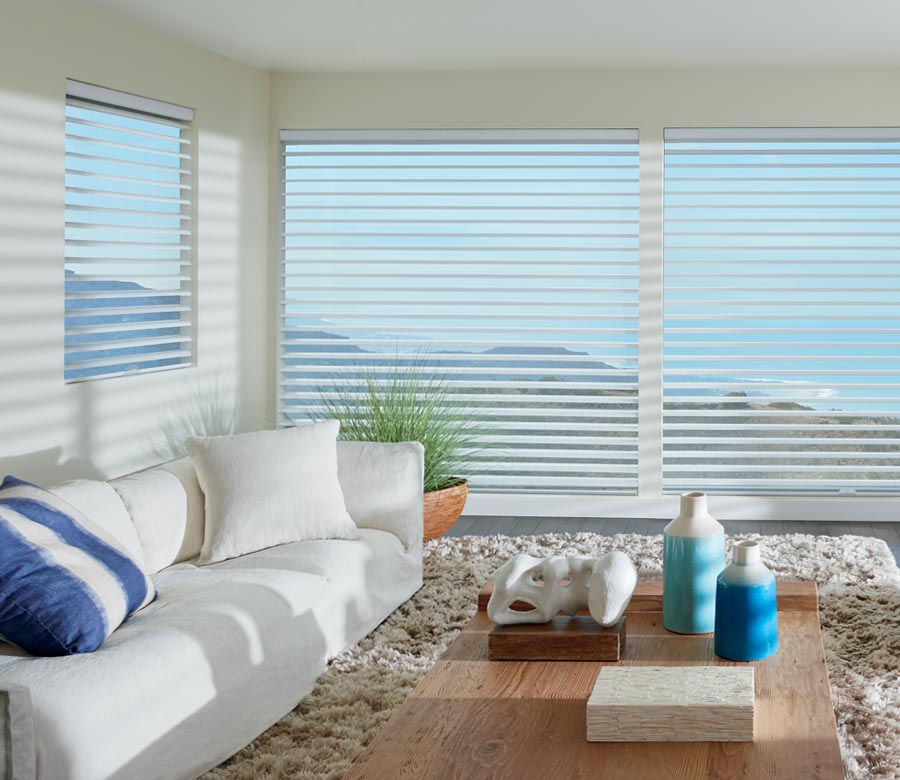 sheer shades in living room of Reno home