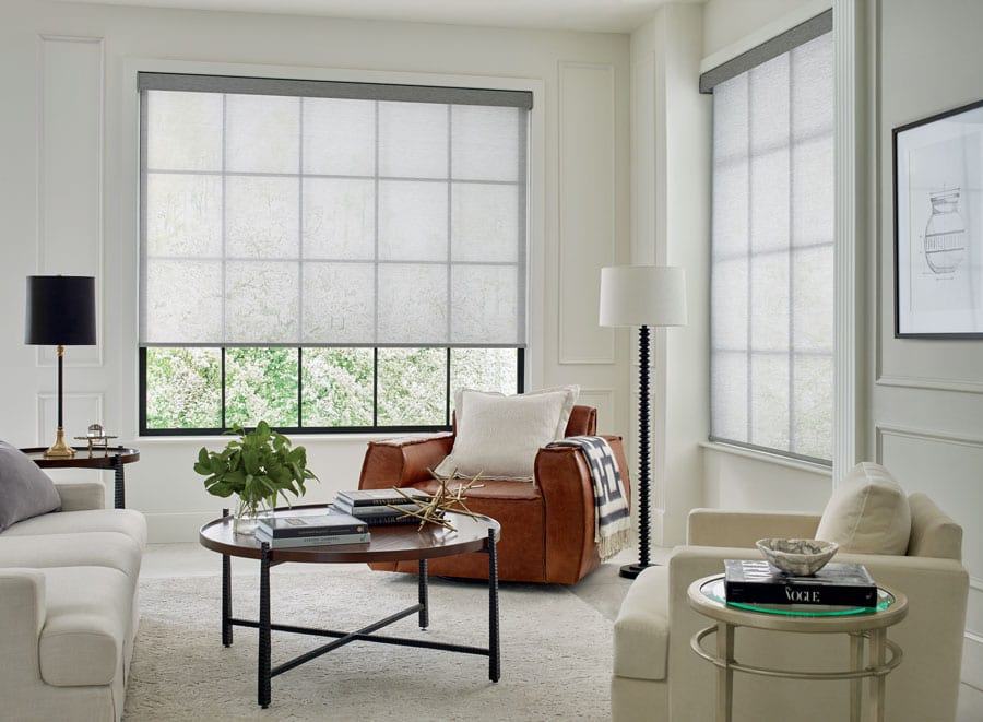 living room with designer screen shades in Reno NV