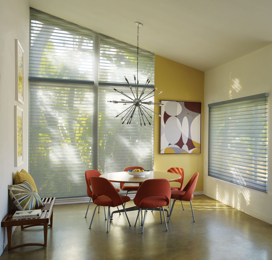 ticky windows in living room of reno NV home