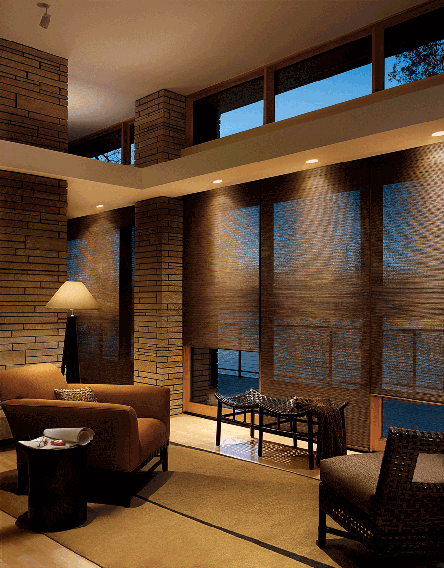 Designer Roller Shades in a living room