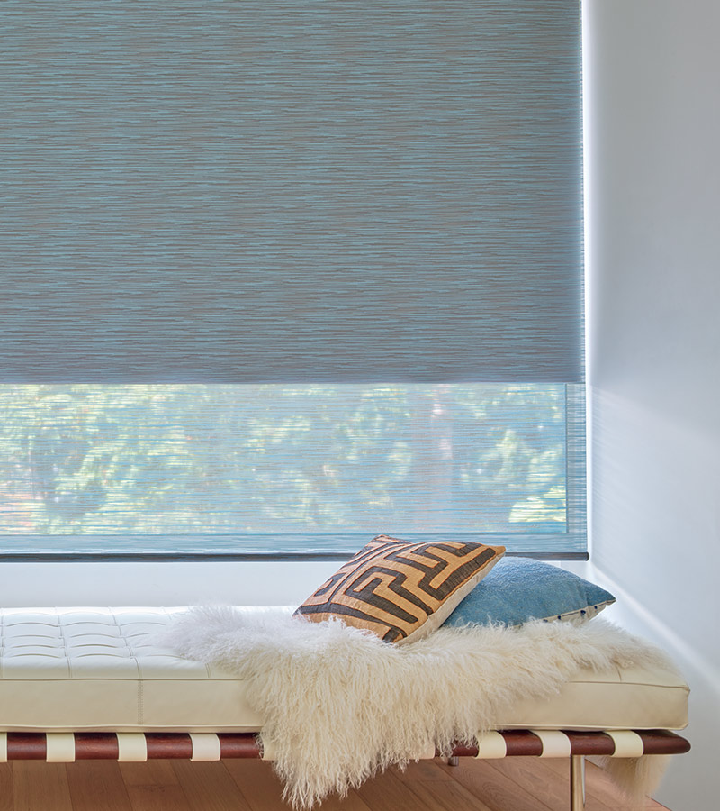 contemporary blue living room with large custom blue roller shade