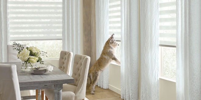 Reno, NV pet friendly window coverings