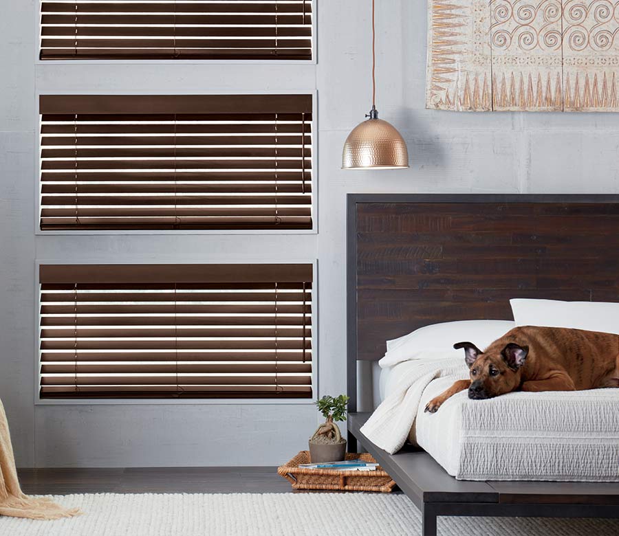 gray bedroom with brown wood blinds with dog sleeping on the bed