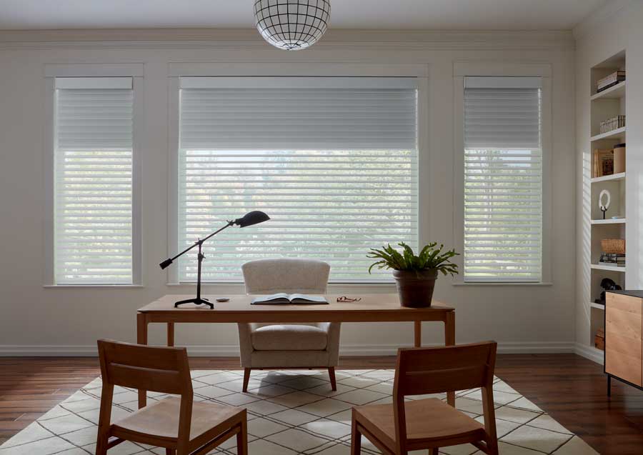 dual sheer shades on large windows in home office