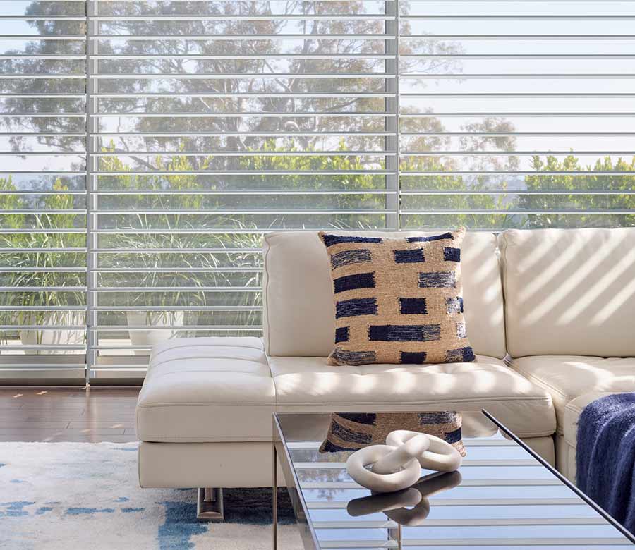 modern living room shades overlooking coastal garden in Reno, NV