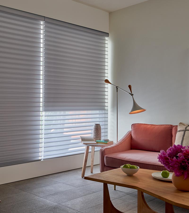 Contemporary styled living room with large window shades for light filtering Reno, NV