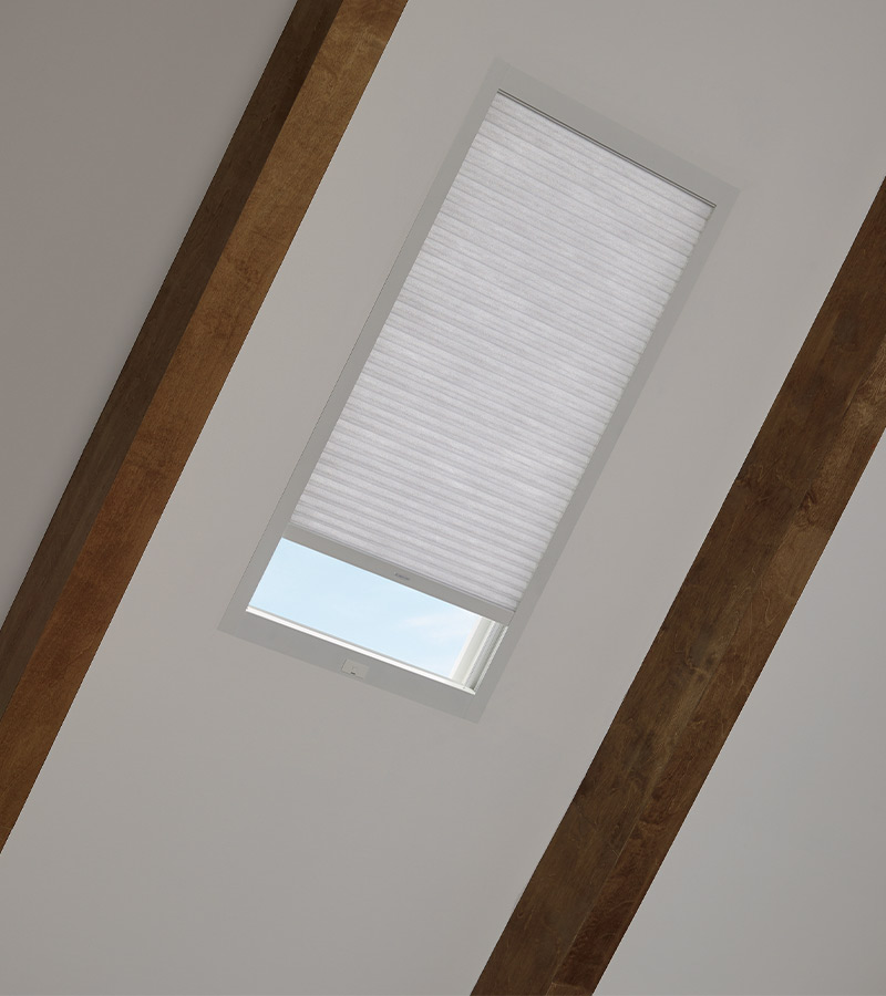Angled skylight features in Reno, NV home