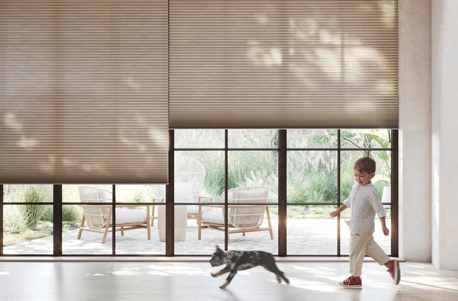 Floor to ceiling black trim modern windows covered with Applause® Honeycomb Shades. There is a young boy around three who is chasing a French bulldog in front of the set of windows on a sunny day. The windows look out into a seating area in the backyard of the house. 