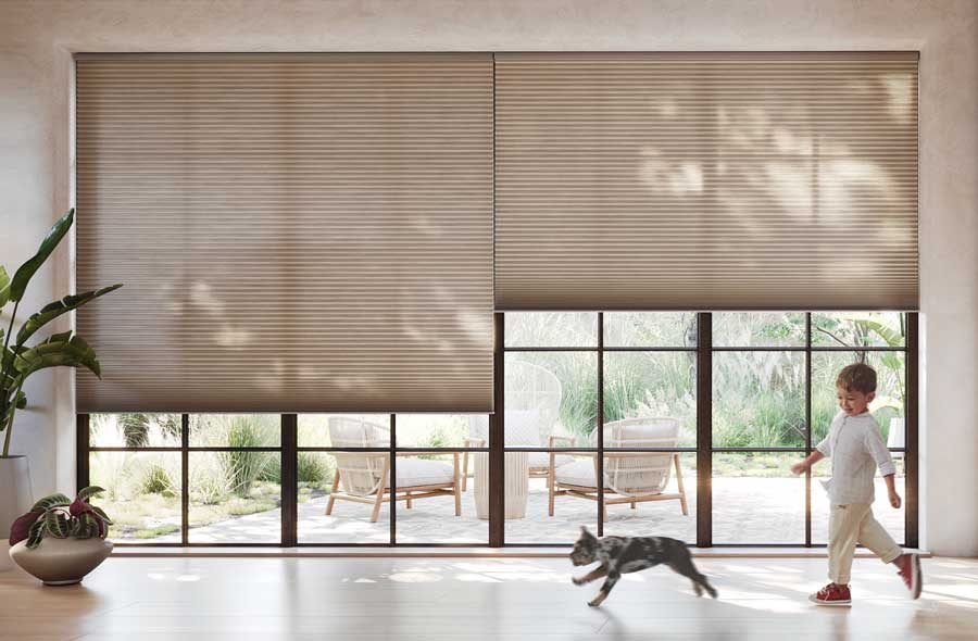 black trim sliding doors with honeycomb shades