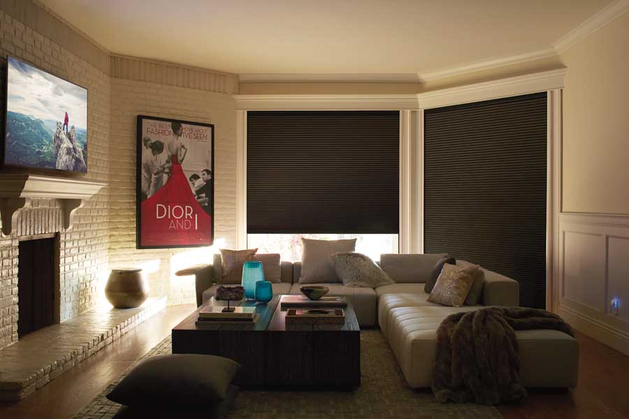 media room with blackout shades in Reno NV