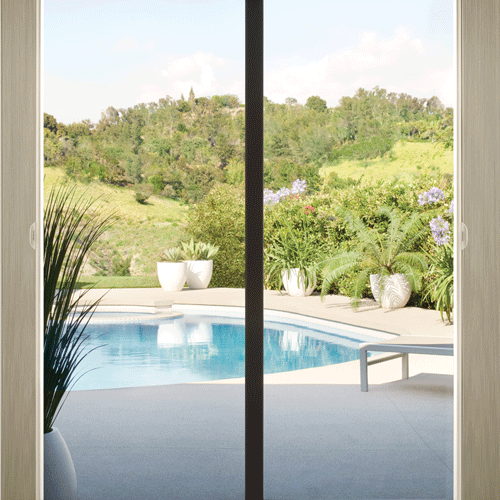 duette honeycomb shades